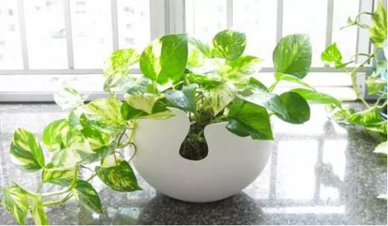 你是否注意到这些身体异常？它们是甲醛刺激的结果，务必警惕！