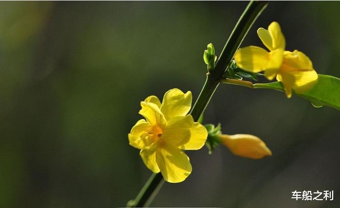 生肖|最近半年，3生肖你是聚宝盆，机遇来临，财富一路飙升，身价翻倍到明年