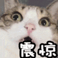 天津市@女子深陷网聊,转给没见过面的蓝颜知己340多万!