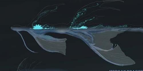 流星@揭秘1987摩根巨龙事件，航拍图片曝光!