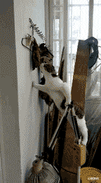 |“新来的老板娘，每天午睡都来办公室，”要不要提醒她一下呢……