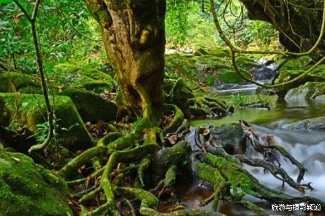 九寨沟▲被九寨沟掩盖的冷门景点！不仅交通方便票价良心，还美的不像话！