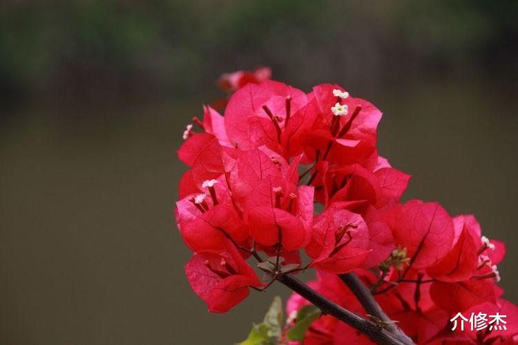 巨蟹座|10月，桃花运强势来袭，期待的良缘终于碰面，牵手真爱的4大星座
