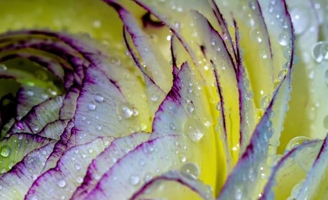 旧爱|11月下旬，月老眷顾，4星座真爱降临：余生漫漫长路，愿与卿共度