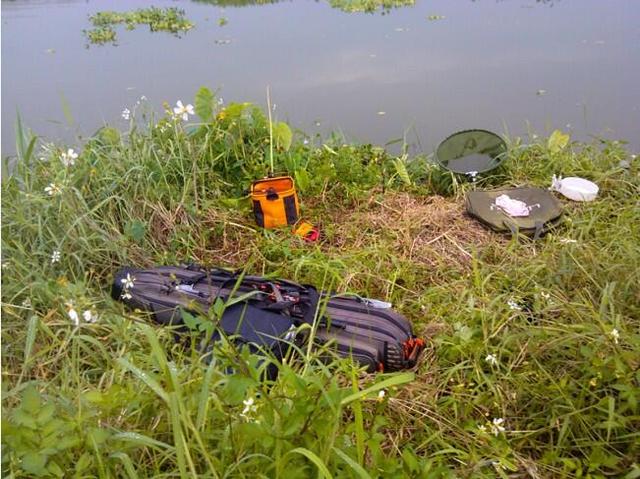 :「献给钓鱼路上新人」野钓选点、用竿体验第一季