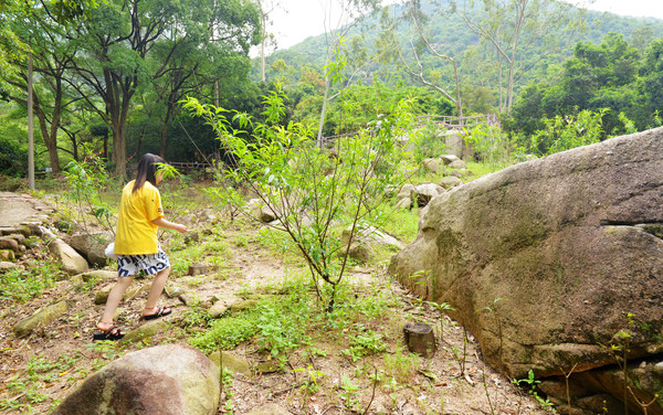 「中山」中山市逍遥谷里并不逍遥，谁去谁知道