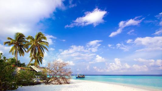 [生肖]10号出门遇财神，财运亨通，横财千万滚滚进腰包，大富特富的生肖