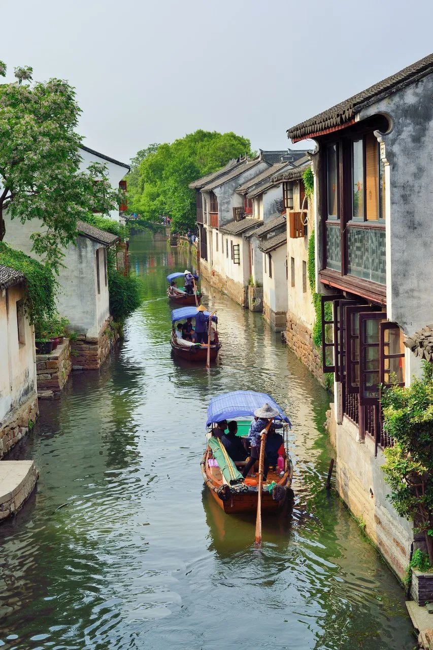 旅行|跨省旅游恢复!这些现有确诊为零的神仙省份,趁着人少赶紧去!思鹿旅行推荐