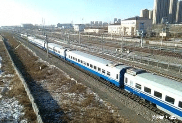 海豹：海豹可以说话，一直深藏不露，历史上3个奇异事件，难以置信却又真实存在