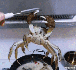 东南亚旅游|哦豁,哦豁,哦豁,哦豁