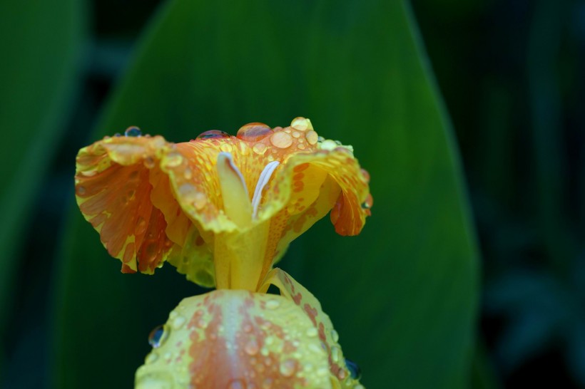 「生肖」好姻缘不怕晚，未来一周，终遇有缘人，恭喜4生肖顺利脱单！