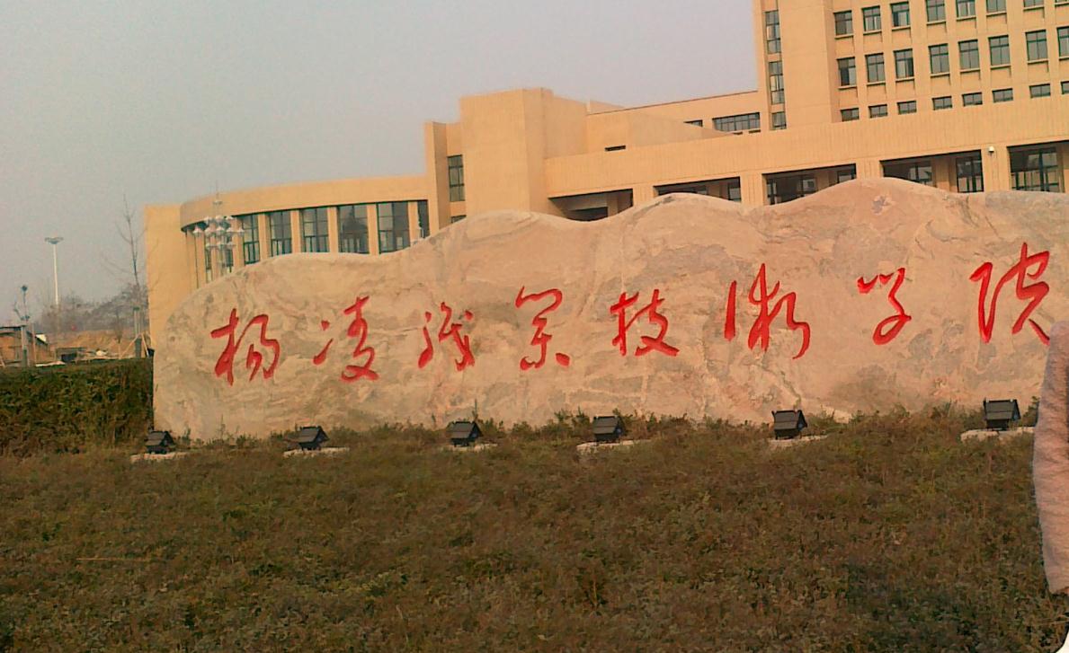 本科线■这7所“专科院校”很有特色,毕业好就业,分数差点上本科可报考