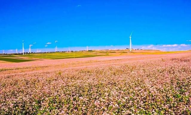 云南|28个最适合9月出行的地方,去邂逅第一场秋色!