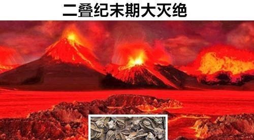 化石|未解之谜：存在于世界上的，9个让科学家也难以解释的神秘化石