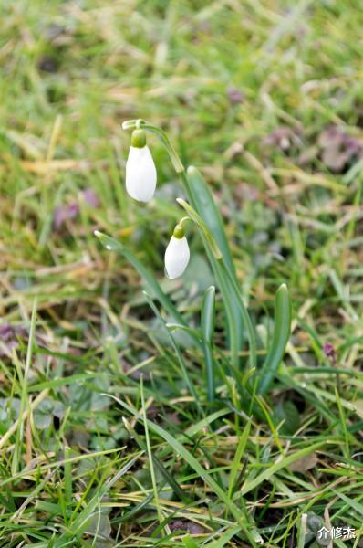 「生肖」7月下旬桃花垂怜，红线重牵，前任归来求复合，再续情缘的4生肖