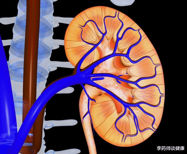 尿酸|50岁男子尿酸高达790，肾脏衰竭，医生叹息：这3个坏习惯是祸根