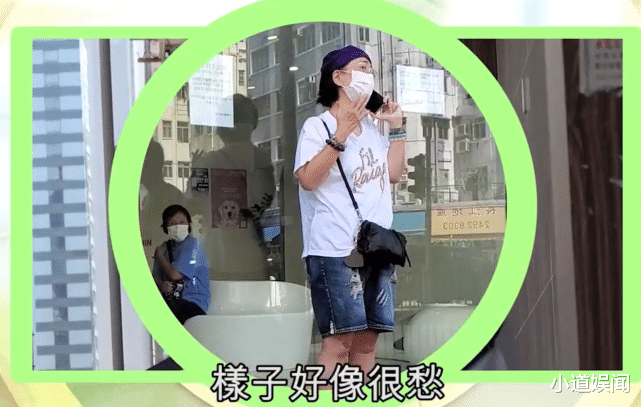 苑琼丹|苑琼丹帮艾威照顾爱犬，遛超巨型伯恩山不成反被遛，路人表情亮了