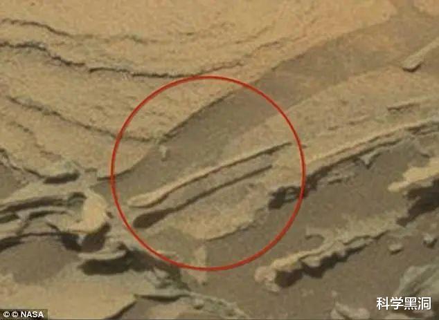 火星▲“人骨”出现在火星表面？NASA称：照片确实是好奇号拍摄，但是……
