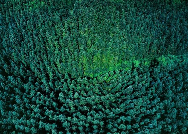 [纤维素]全球首次！中国科研团队研制出“超级材料”，密度为钢的六分之一