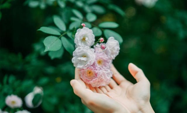 霉运|8月底,否极泰来,事业枯木逢春,4生肖熬走了霉运,迎来了好日子