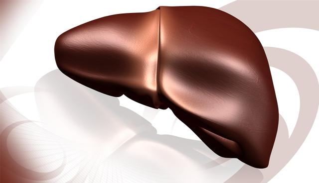 #黄芪#黄芪和它“天作之合”，坚持泡水喝，养肝护肾，气色红润显年轻