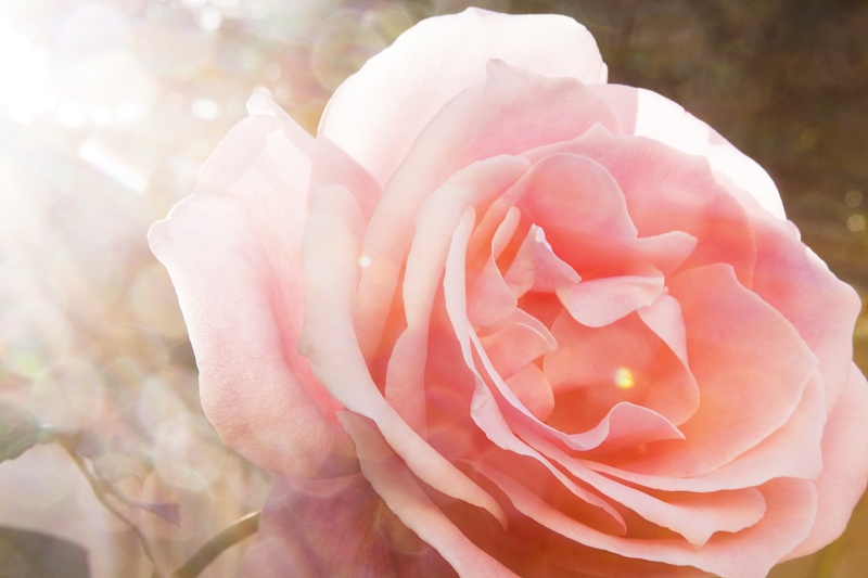 运势|9月开始运势有转机,财富翻番,日子大有希望的4生肖