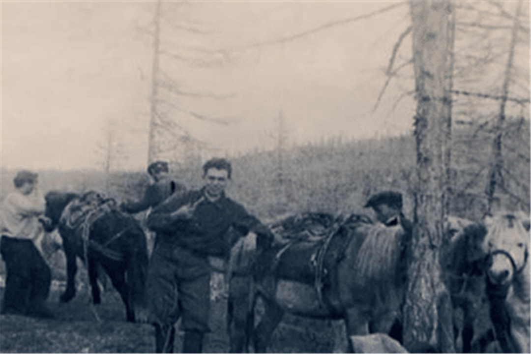 科学家|1957年俄罗斯出现巨大水怪，曾有数人目睹，如今身份确定了吗？