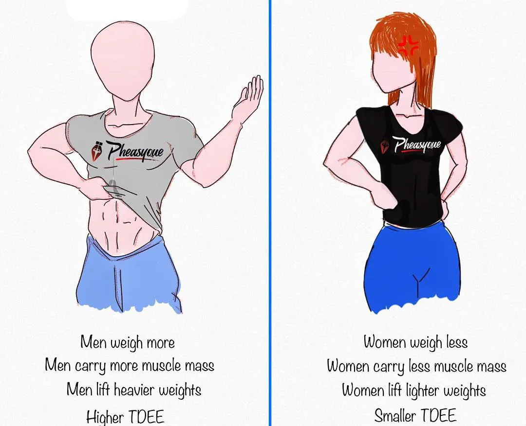 减脂|减这么久了，你怎么还是胖？