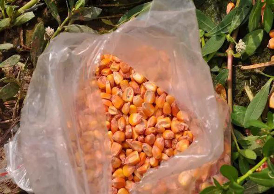 【水库】夏季在水库如何钓鱼？压箱底的这点干货都分享出来了