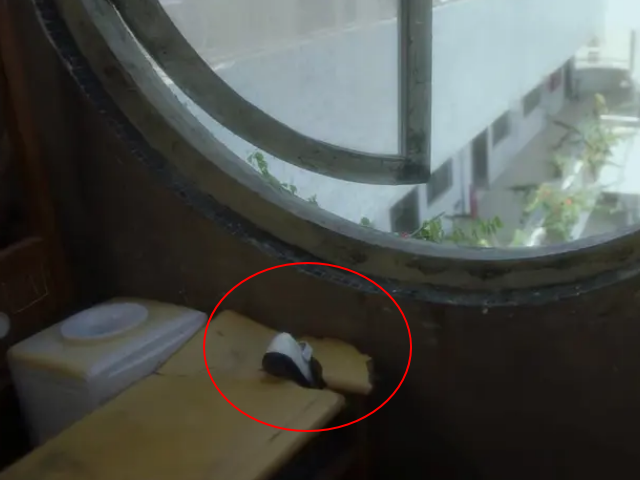 朱晶晶|《隐秘的角落》朱晶晶是被推下去的？顶楼桌子揭秘答案