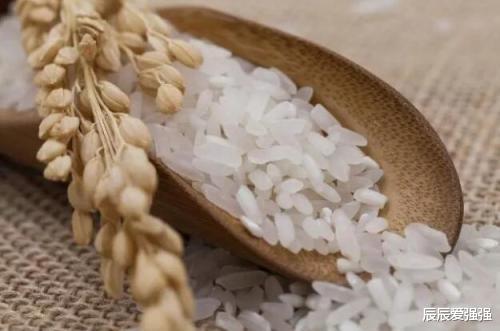 [UFO]为什么人类可以制造出氢弹，却无法造出一粒米？答案你不会想到