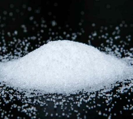 ##在野外遇到狼群时，为什么带盐者可以活下来？看完总算明白了！