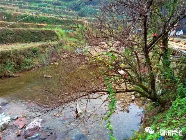 温州@温州铁坑古道，一条横亘于永嘉青田深峡的水瀑古道