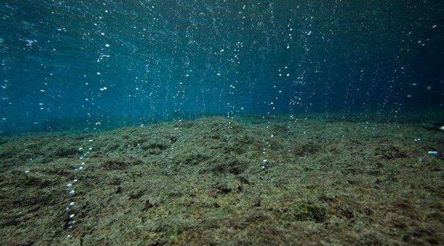 「科学家」加拿大300多年的大河，却在4天内消失，科学家：这是不好的征兆！