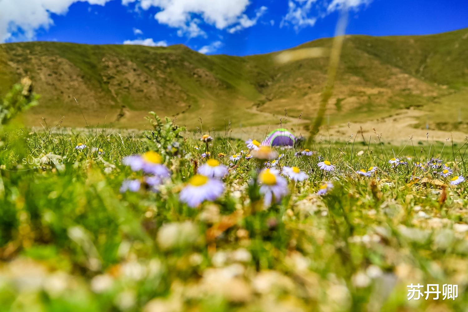 上海市@千万不要在西藏搭帐篷露宿！90后姑娘亲身经历，风光无限也藏风险