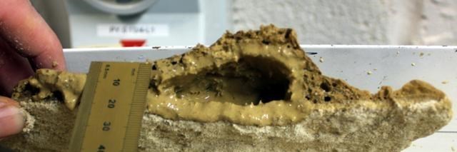 火星@科学家从地球受到启发，研究类火星泥浆发现秘密！