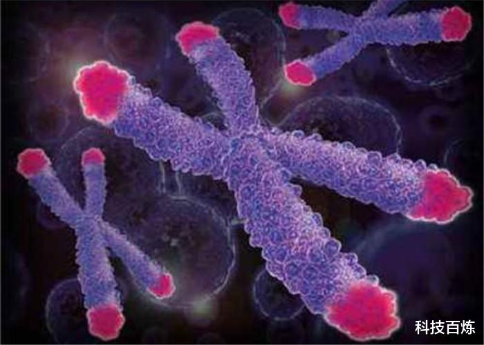 科学家:为什么人类不能“长生不老”?听完科学家的解释恍然大悟!