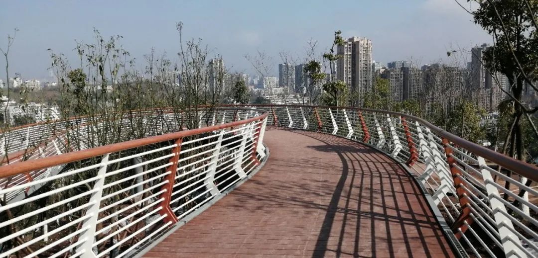 富顺快报 高峰公园真的要来了！来看现场实拍！