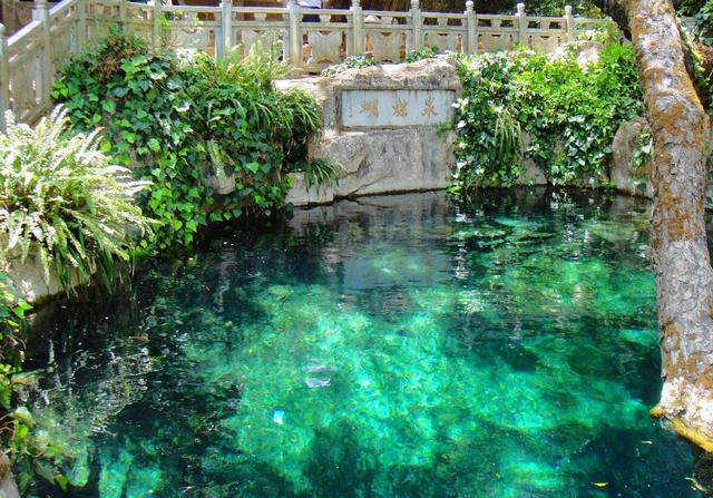 「南海」国内6个“雷区”景点，你避开了吗