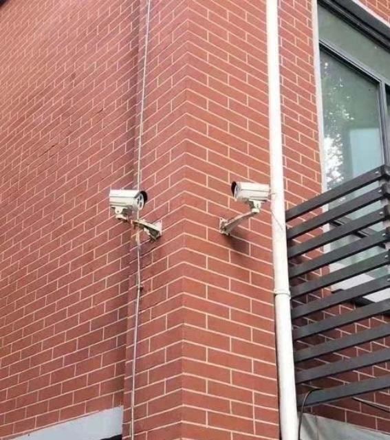 |“现在大学什么专业都有，那么烟草专业上课都在做什么？”哈哈哈太真实了