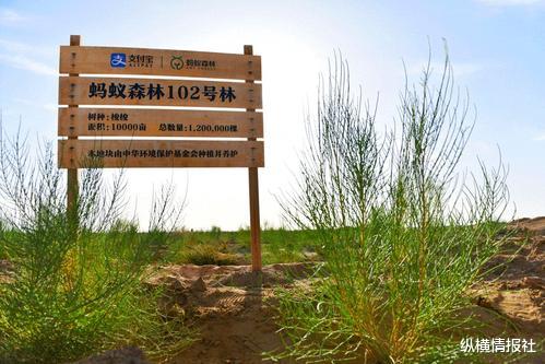 美团外卖|阿里巴巴“晒出”一张照片，让用户心里不是滋味：我们错怪马云了