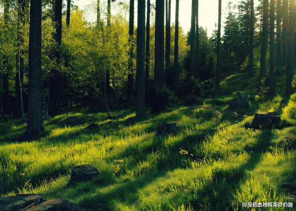 属兔|8月份开始，4属相富贵挡不住，横财如雨，好运连连，更上一层楼