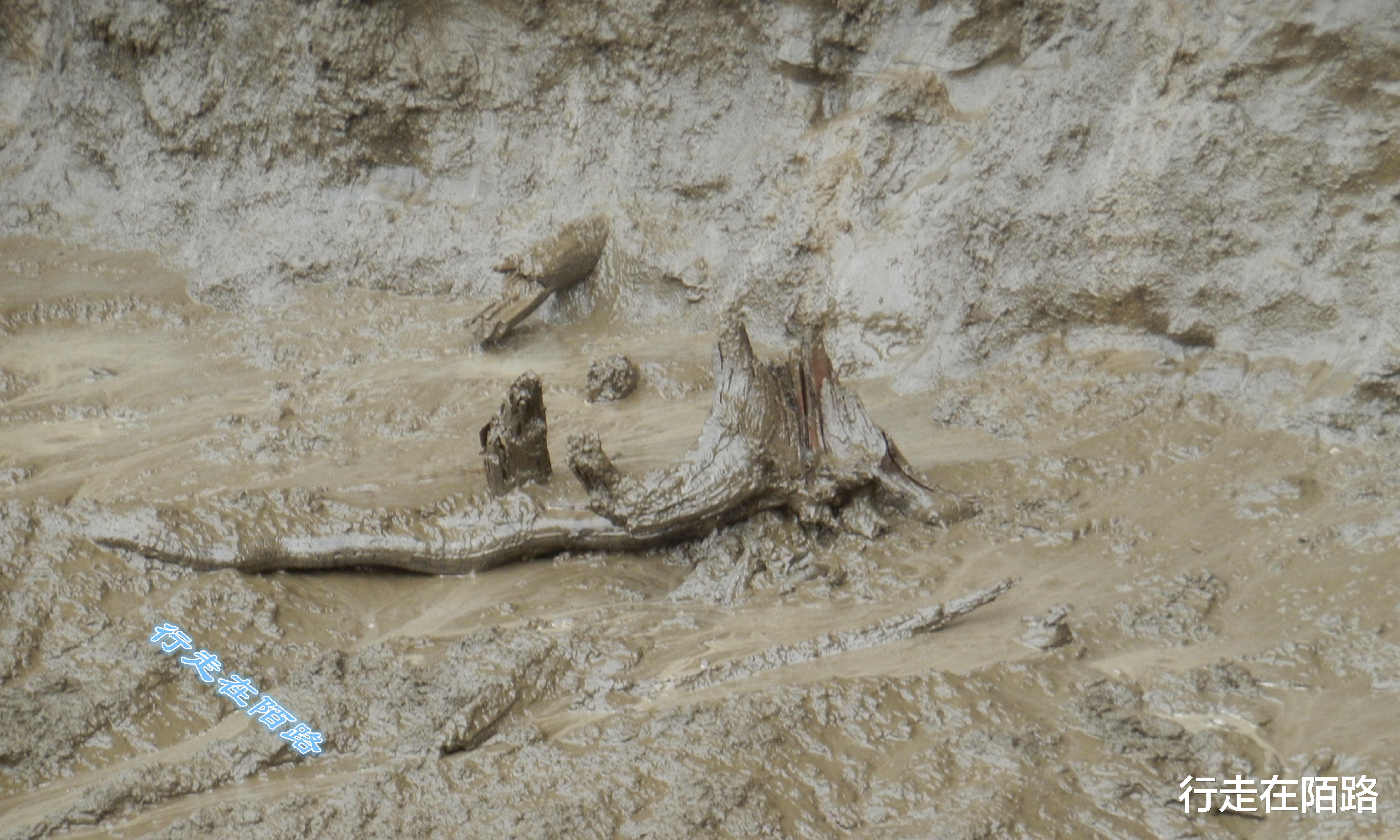 科学家|俄罗斯永冻土融化：地面下陷百米深，出土3万年前的马化石