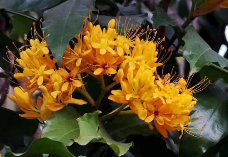 |9月开始事业有成，迎来一波好运，喜报频传的四大属相