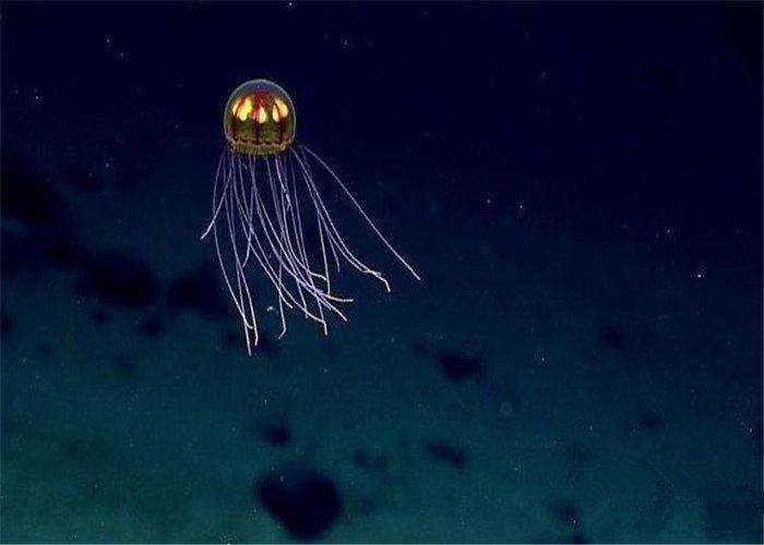 科学家■地球上最深的地方,科学家发现令人不安的东西,就在万米海洋底!