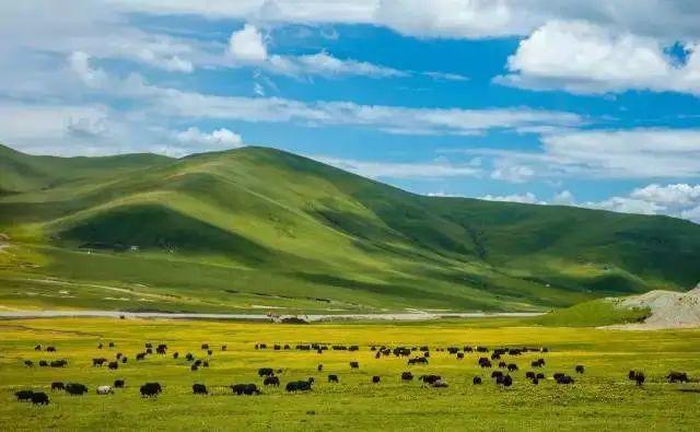 『林芝』中国15条自驾游，每一条都值得去！