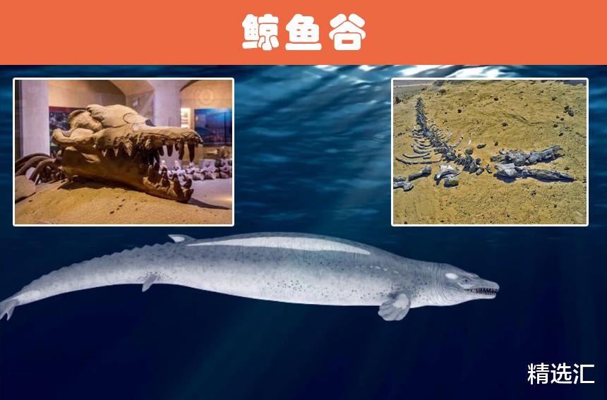 撒哈拉沙漠|隐藏于撒哈拉沙漠之下的10个神秘的考古发现