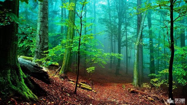 处女座@5月1号得佛祖保佑，财神赐财，偏财进门，存款翻倍的生肖