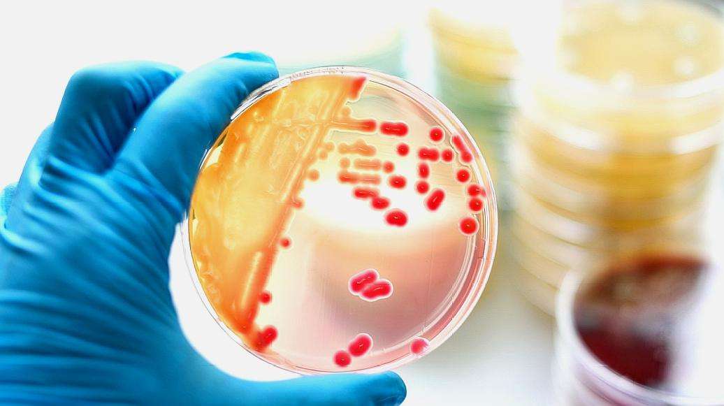 核糖核酸|这是一个好消息！中国研究取得重大发现，不接种新冠疫苗也没事