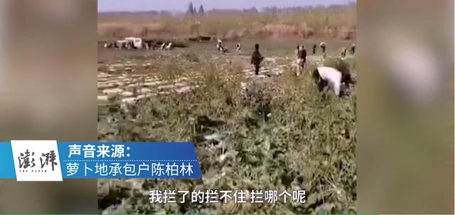 周冲的影像声色|一条谣言，3000人集体抢劫：为什么我拼死也要逃离农村？